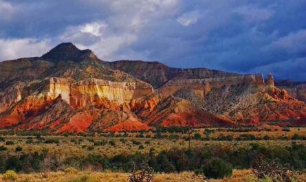 facts about new mexico fun facts about new mexico interesting facts about new mexico new mexico state facts facts about new mexico for kids albuquerque facts new mexico history facts 5 facts about new mexico cool facts about new mexico new mexico culture facts weird facts about new mexico new mexico facts a to z albuquerque fun facts new mexico quick facts santa fe fun facts new mexico facts and information santa fe new mexico facts 10 facts about new mexico historical facts about new mexico 3 facts about new mexico 5 interesting facts about new mexico new mexico facts and history 3 interesting facts about new mexico new mexico government facts new mexico pictures and facts