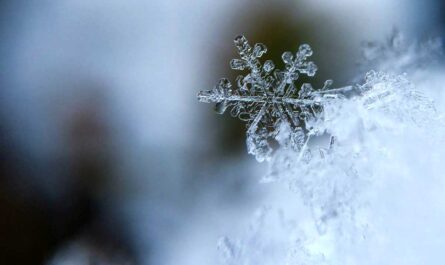 harbin international ice and snow sculpture festival_Interesting Facts About England