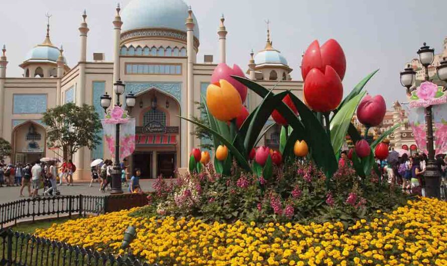 39 Interesting Fun Facts about Everland Theme Park, KOR