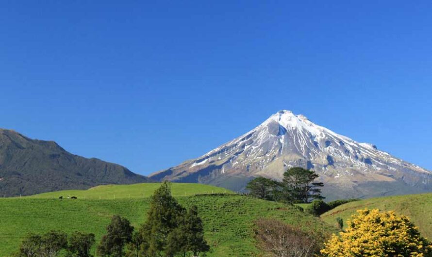 44 Interesting Facts about New Zealand: History, Travel, Food