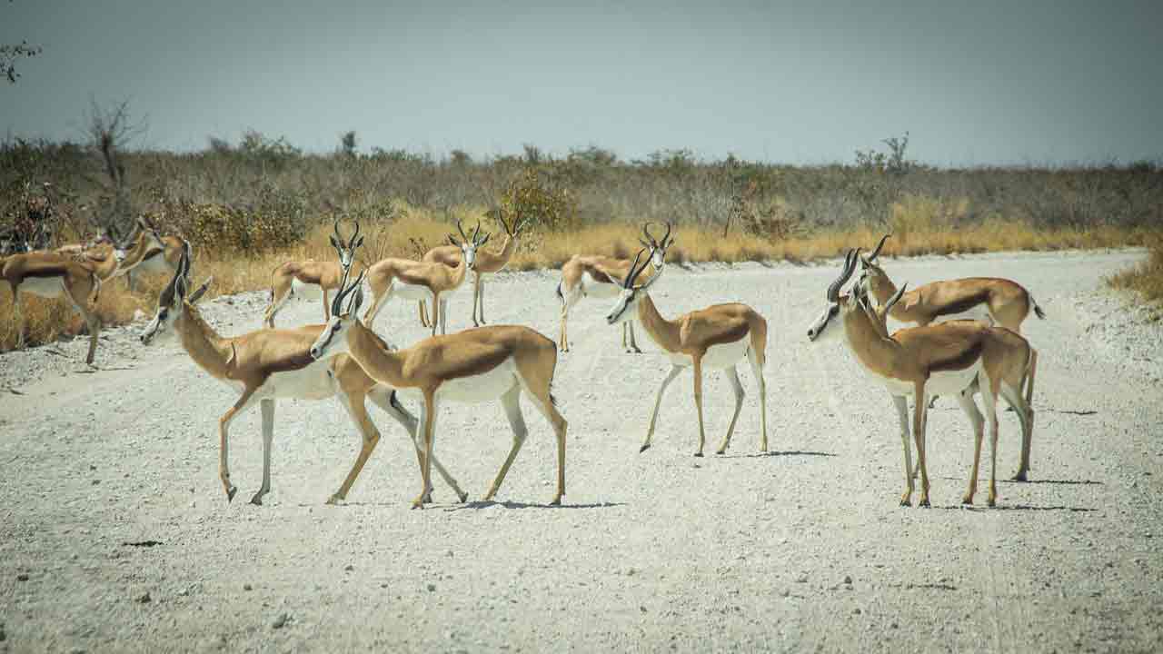 namibia facts interesting facts about namibia_Facts about Tanzania