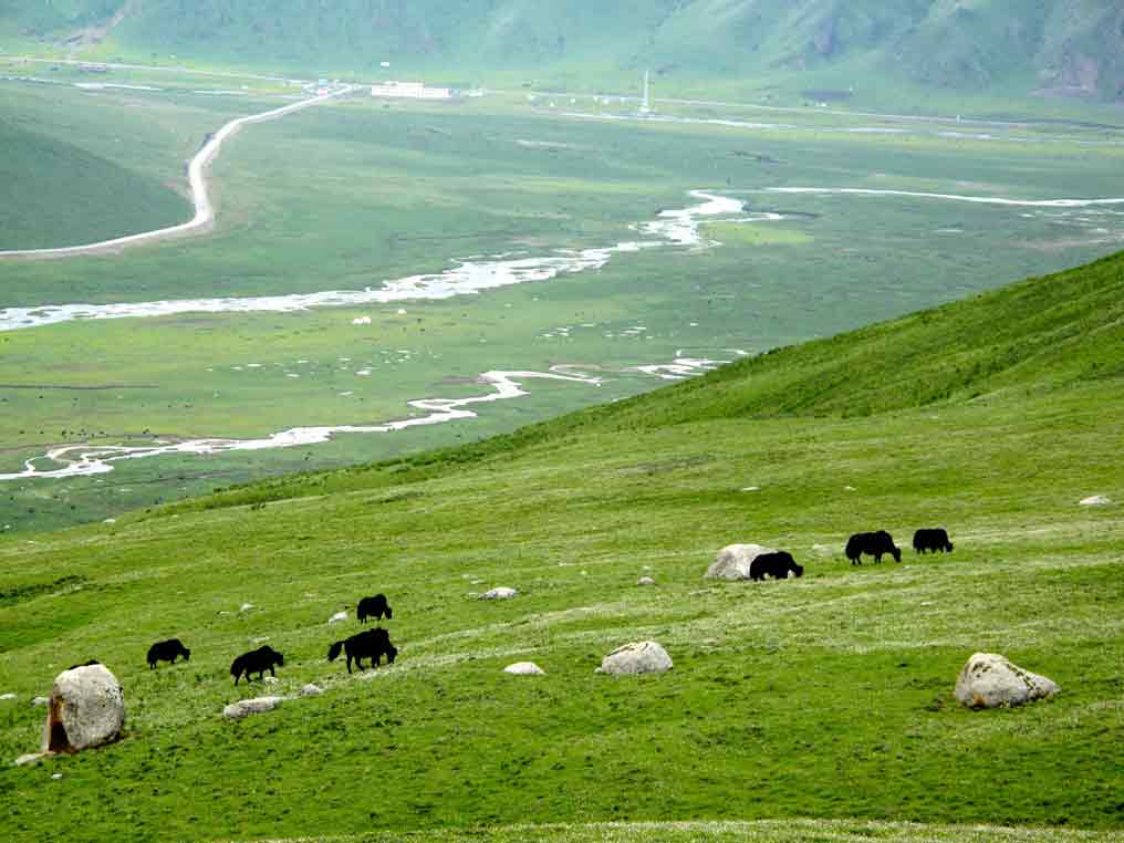 tibet facts plateau of tibet facts_Facts about Liberia