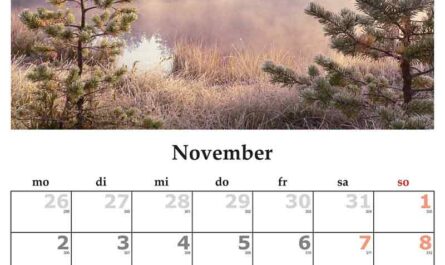 National Days in november