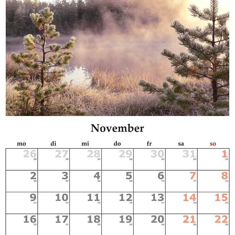 National Days in november