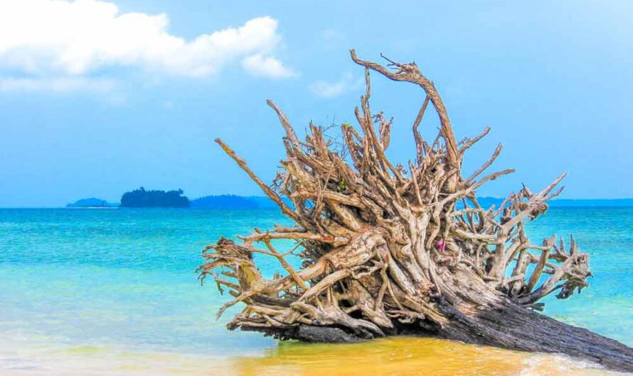 30 Andaman and Nicobar Islands Interesting Fun Facts