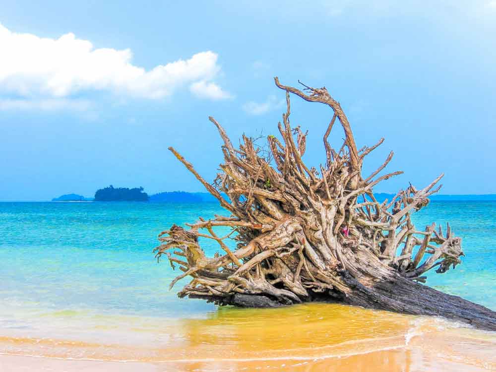 andaman and nicobar islands