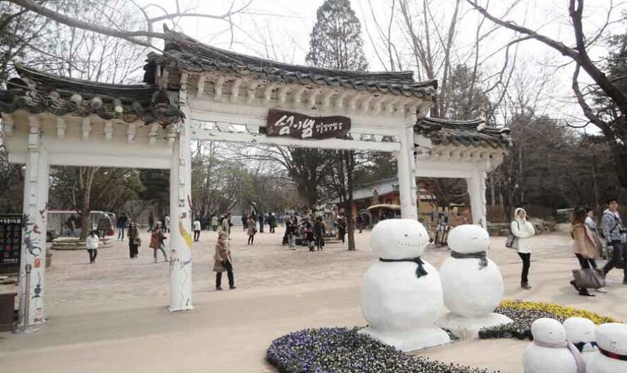 27 Interesting Fun Facts About Nami Island, South Korea