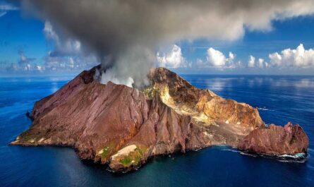 facts about Napier_interesting facts about Sweden