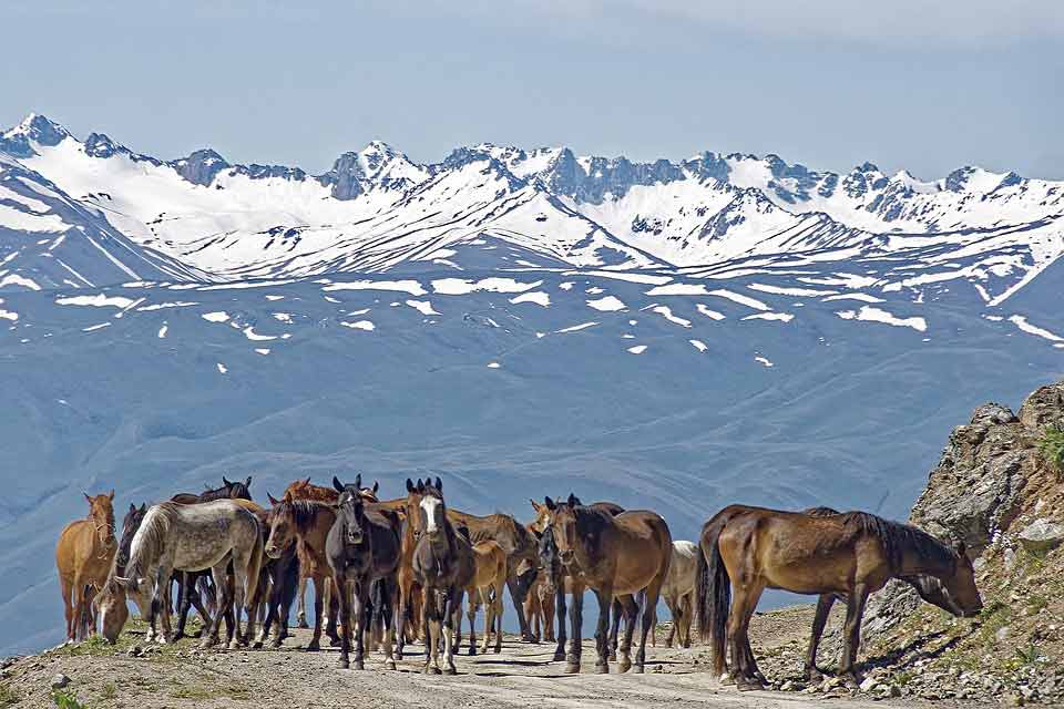 interesting facts about kyrgyzstan