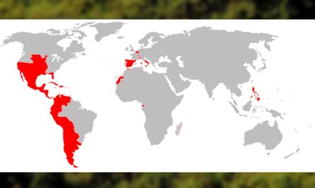 Spanish Colonization of the Americas_