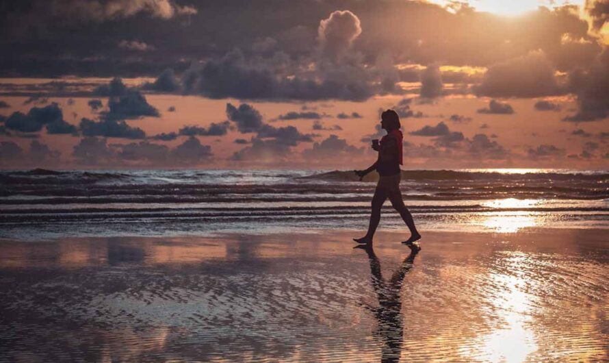 29 Interesting Facts about Barbados: History, Culture, Travel